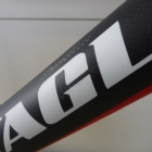 Carbon_Rahmen_Reparatur_BattaglinC12_2